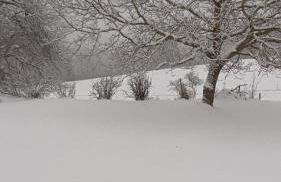 Landhof Steinhütte - Foto 15