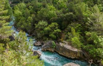 Casa Rural Raíces del Alto Tajo - Foto 20