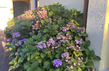 Wunderschöne, große Gartenwohnung mit 3 Schlafzimmern Nähe Kaufbeuren - Foto 26