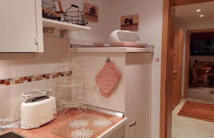 Ferienwohnung Zum Weinberg bis 4 Personen - Im Herzen der Pfalz - Foto 20