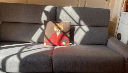 Appartement charmant à Les Andelys - 36 m² avec jardin - Foto 5