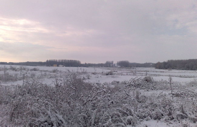 Solaz del Moros - Foto 43