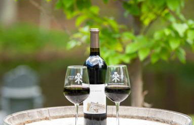 Historic Winery Farmhouse by Lake - Foto 45