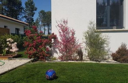 Maison sud des Landes proche Seignosse/ Capbreton / Soustons - Foto 51