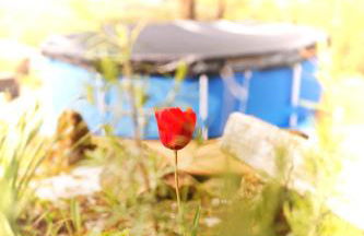 Le Gîte des Cimes - Foto 57