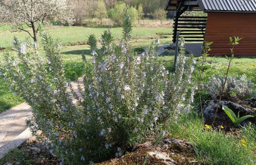 Apartman Sveti Rok - Foto 41