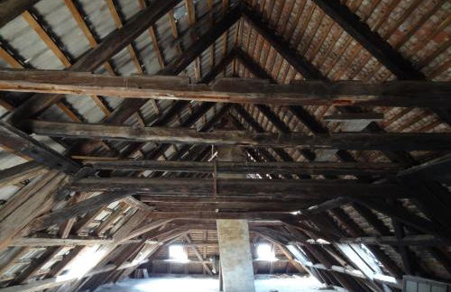 Schloss Gröbitz - Foto 35