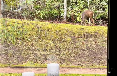 Craigieburn Park - Foto 13