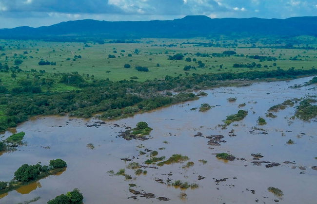 Isla del Bananal y Parque del Cantão en 5 días - Foto 1