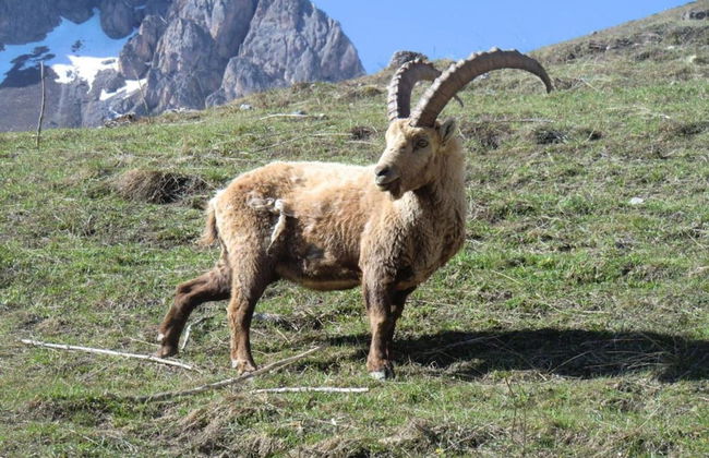 Villa in Le Monetier-les-bains - Photo 33