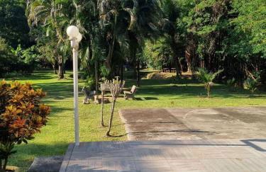 Sítio Refúgio do Lobo - Foto 36