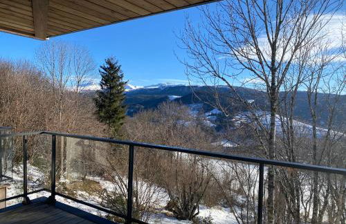 L'Avancée Chalet contemporain au coeur du Sancy AUVERGNE - Foto 21