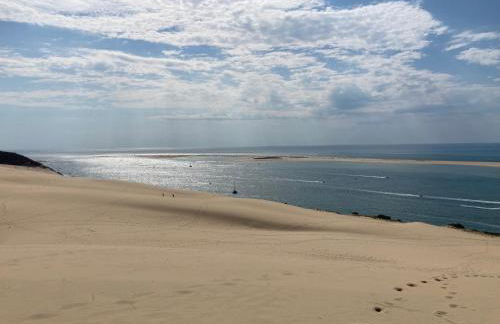 :Le tchanqué du bassin d'arcachon - Foto 20