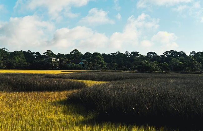 716 Swordfish - Foto 36