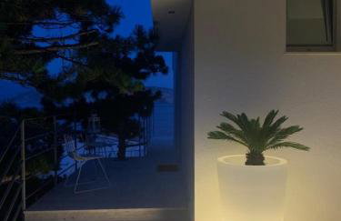 Shimmer & Shine - Foto 24