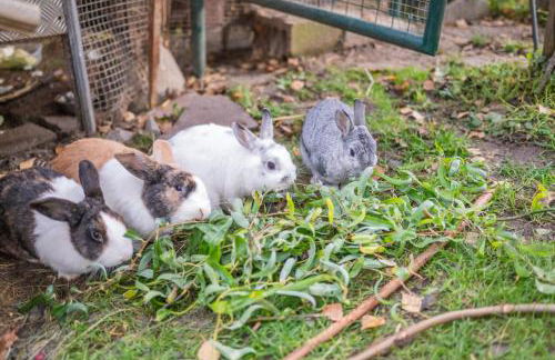 App Brunner - Photo 34