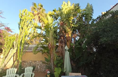 natura e relax sul mare - Foto 19