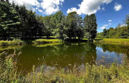 Sunday Hollow - Foto 10