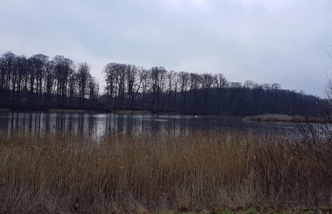 7 Person Holiday Home in Svendborg - Foto 17