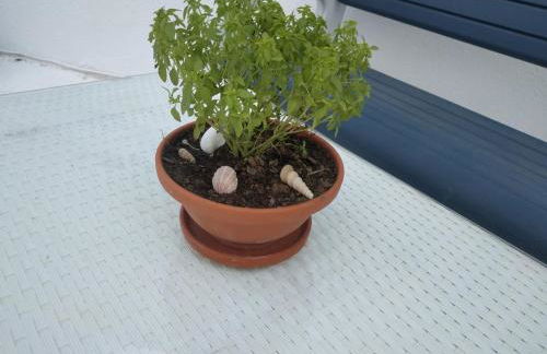 Villa Kotetsi - Rooms To Let - Volissos - Chios - Foto 26