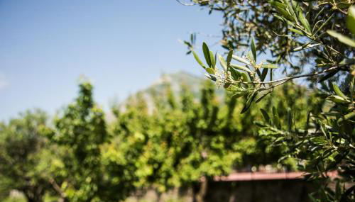 Casa Vacanza Dal Cavaliere - Foto 4