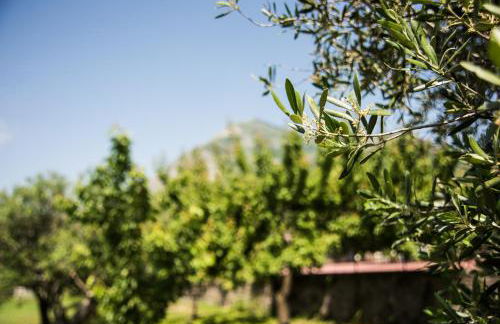 Casa Vacanza Dal Cavaliere - Foto 4