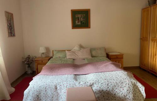 Agroturystka Dom w Owocowym Sadzie - Foto 24