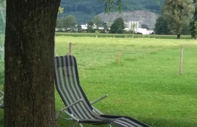 Steigmatt Bauernhof - Erlebnis - Foto 47