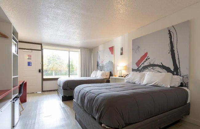 Entire Studio With Free Shuttle to Disney - Foto 3