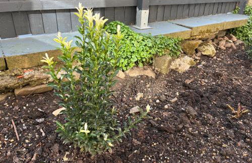 Modern and comfortable stay in Morecambe - Photo 31