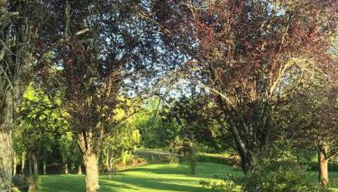 Une pause quelque part ... - Photo 3, Garden view