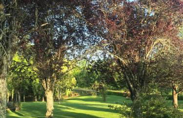 Une pause quelque part ... - Photo 3