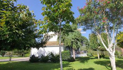 Mythos luxury apartments - Foto 2, Garden, Garden view