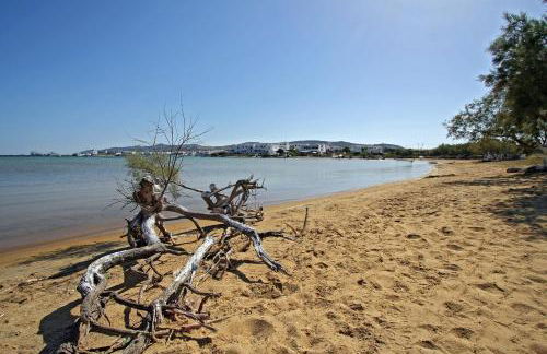 Maria's Garden - Foto 32