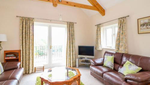 Forget-me-not - Foto 3