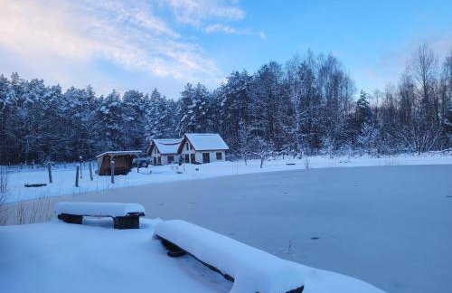 Domki nad stawem w Harszu - Foto 8