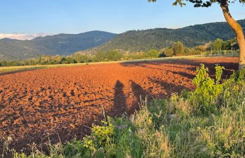 Al Gallo Cividale- mansarda o piano terra - Foto 37