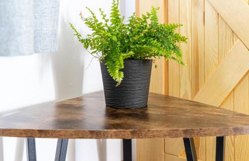 Czarna Góra Apartamenty TATRY GÓRY BIAŁKA BUKOWINA AGROTURYSTYKA - Foto 12