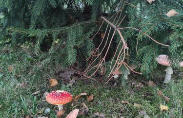 Pools, Sauna und Balkon mit Panoramablick - Foto 61