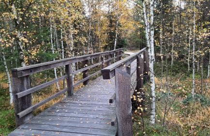 Ferienhaus am Erzgebirgskamm - Foto 32