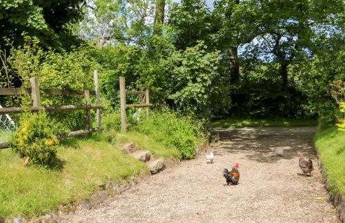 Connie's Cottage - Foto 38