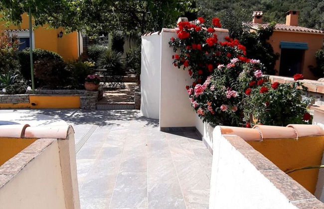 in the Finca Caroline - Foto 23