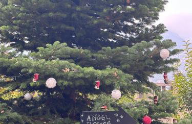 Angel House Greystone Villa Polydrossos - Foto 11