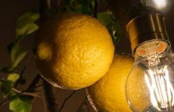 Casa el Montcel, a unique chalet with roofterrace and shared pool - Foto 23