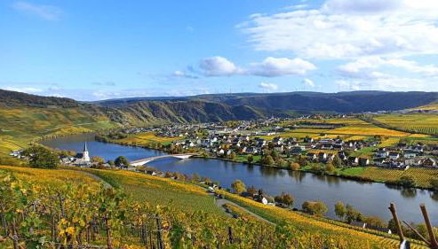 Ferienwohnung mit Blick auf die Moselloreley - Foto 2