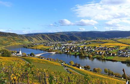 Ferienwohnung mit Blick auf die Moselloreley - Foto 2