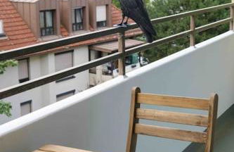 Wohnung in Augsburg Innenstadt -Tiefgarage - Foto 24