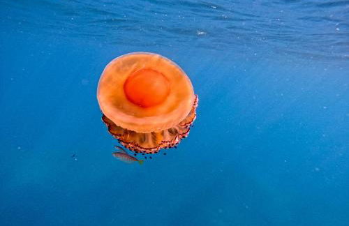 Mèna Mè - Casa vacanza - Salento - Foto 78