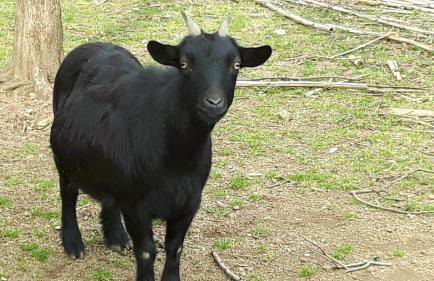 Le CLOS MARFRUMA - Foto 27