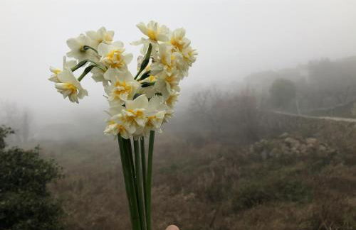 Lanzaroco, tu casa en La Vera - Foto 25